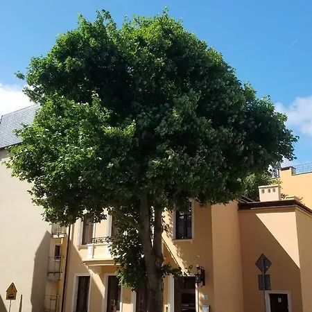 Na Cichej 5 A3 Kolobrzeg