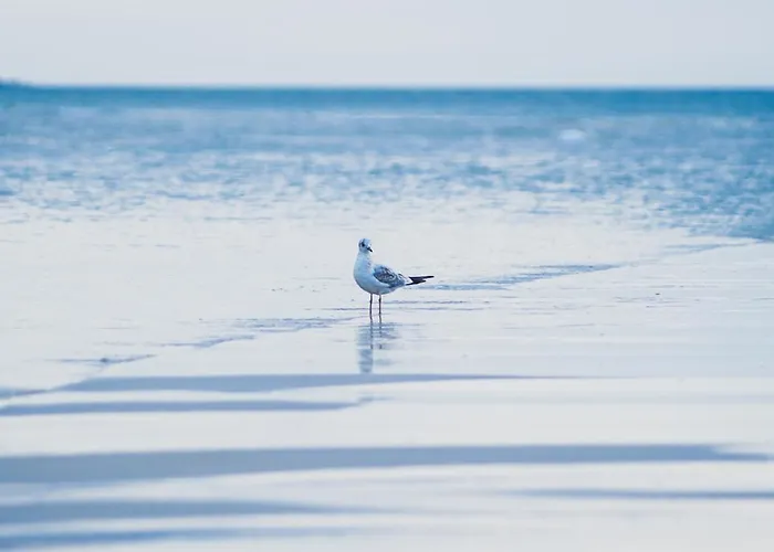 Na Cichej 5 A3 كولوبرزيغ